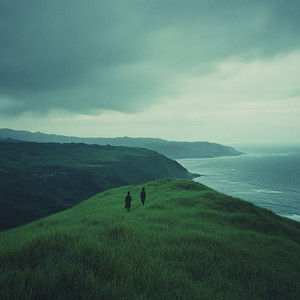 美女免费视频网站
