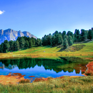 美女免费视频网站
